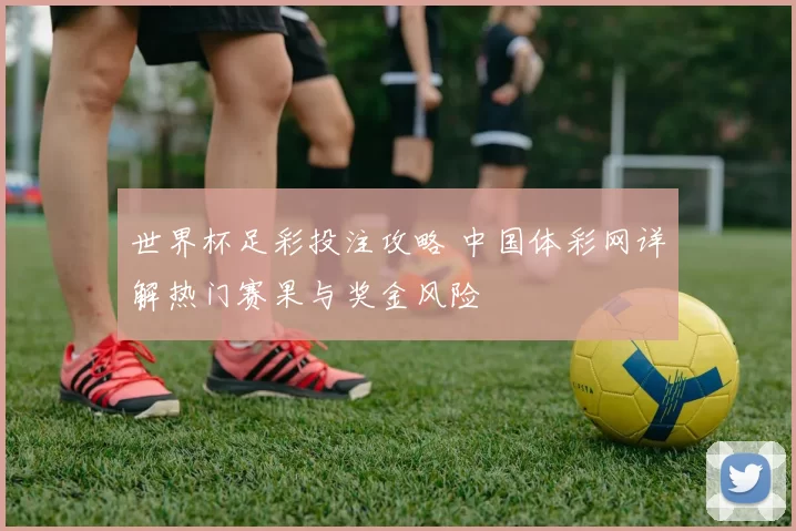 世界杯足彩投注攻略 中国体彩网详解热门赛果与奖金风险