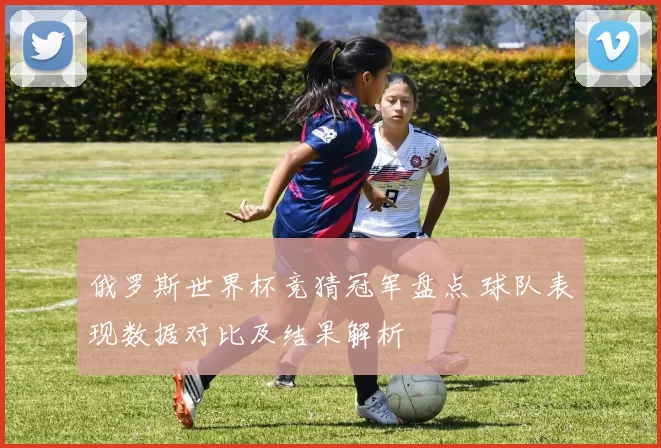 俄罗斯世界杯竞猜冠军盘点 球队表现数据对比及结果解析