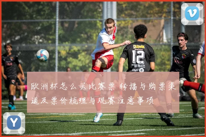 欧洲杯怎么买比赛票 转播与购票渠道及票价梳理与观赛注意事项