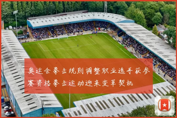 奥运会拳击规则调整职业选手获参赛资格拳击运动迎来变革契机