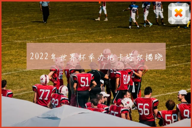 2022年世界杯举办地卡塔尔揭晓