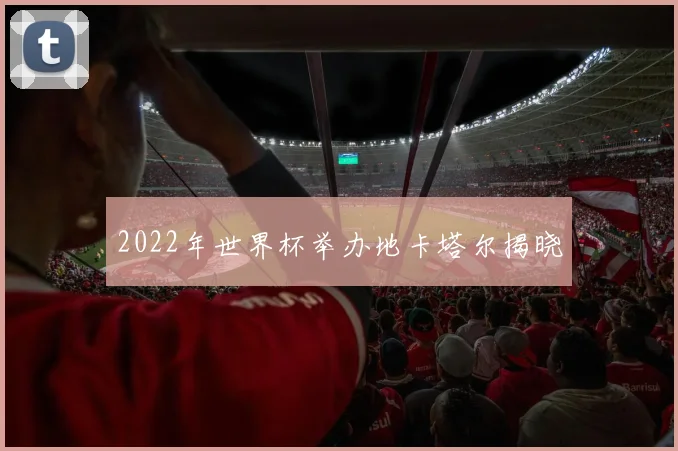 2022年世界杯举办地卡塔尔揭晓