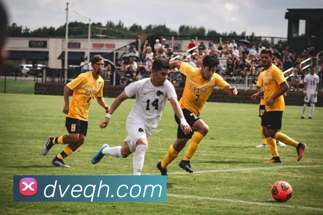 多媒体互动体验